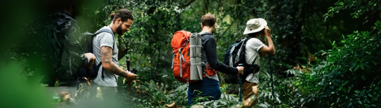 Guided jungle hiking adventure in Costa Rica